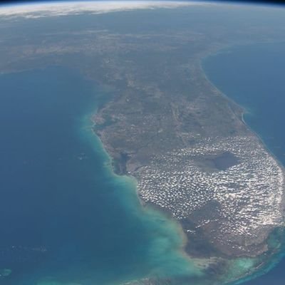 CiscoRT12's profile picture. 