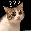 I remember - @chris_favorite - Twitter