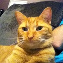 Kitty Coleman - @KuteKitty11 - Twitter