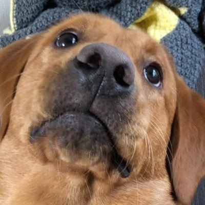 KayJayBeee's profile picture. 