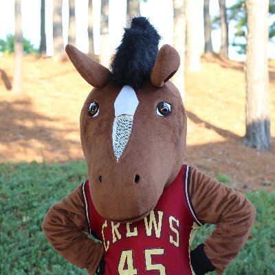 crewsbroncos Profile Picture