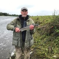 David Cunning (@davytrout) 's Twitter Profile