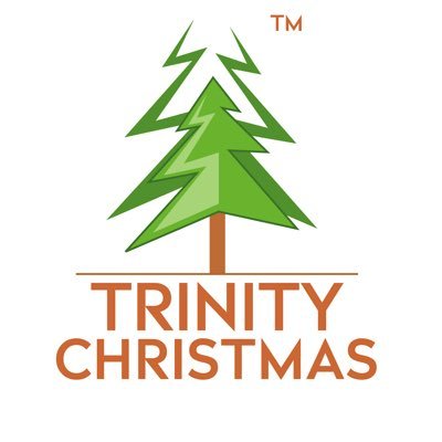 Shop online for Premium Artificial Christmas Trees, Unique Christmas Decorations, Christmas lights, Tree skirts, Tinsels, Nativity sets, Wreaths, Garlands.