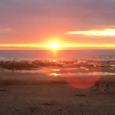 ForestJo21's profile picture. Air