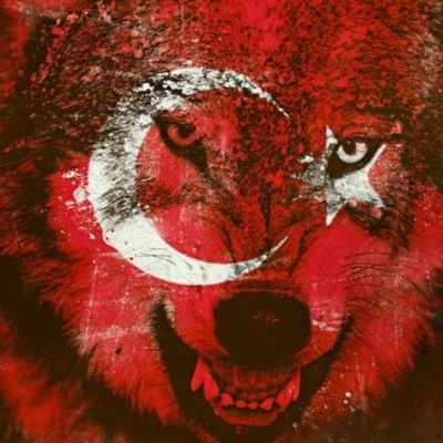 ydyalcindonmez's profile picture. 