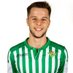 Jose Manuel Fernandez ◢◤ (@4rote4) Twitter profile photo Jose Manuel Fernandez ◢◤ (@4rote4) Twitter profile photo