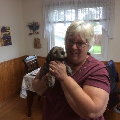 elainemacd2019's profile picture. I am a retired government employee has written two Mystery Novels and my first romance novel already planning my second.