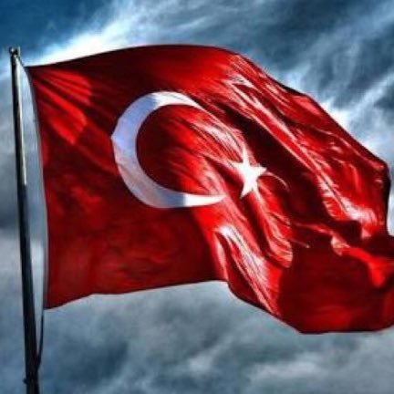 ercanecn's profile picture. 