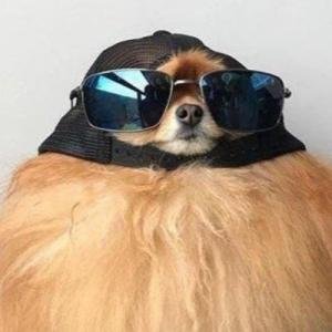 RSstefaN2's profile picture. Looking for CS:GO TEAM!