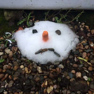 Oatway's profile picture. Ecologist, Aesthete, Renaissance Bloke