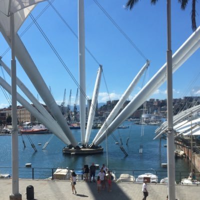 LuisellaLamber1's profile picture. ‘Ma siamo in cammino e non abbiamo nessuna intenzione di fermarci’