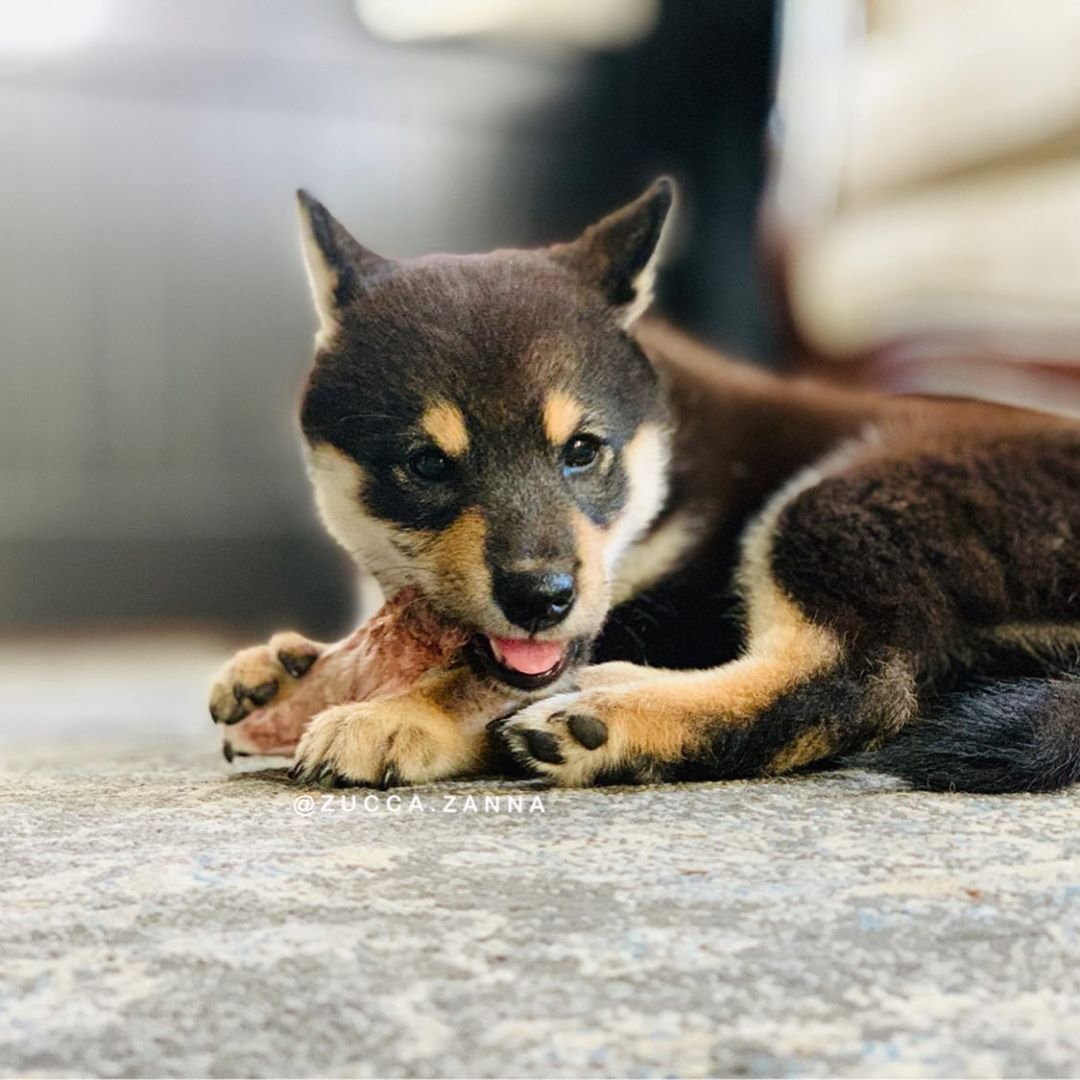 Skyblue69Yazawa's profile picture. 捨