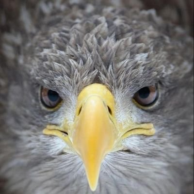 jewink_hh's profile picture. 