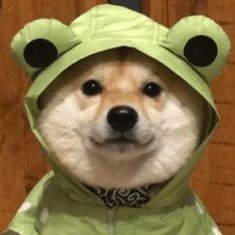 HappyDoggo01's profile picture. 