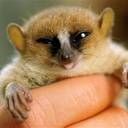 Evan Spaulding - @Skywizardz - Twitter