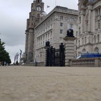 أ.صقر سعد الشخري المطيري (@saqersaqerq8i) 's Twitter Profile Photo