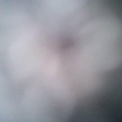 PKRS71's profile picture. No list please. Thank you to all followers ! I will follow back asap 😏