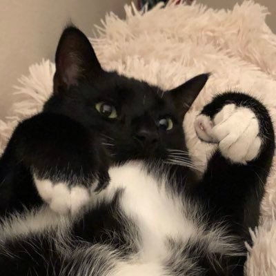 sarahmiller3830's profile picture. c’est vraiment comme ça parfois