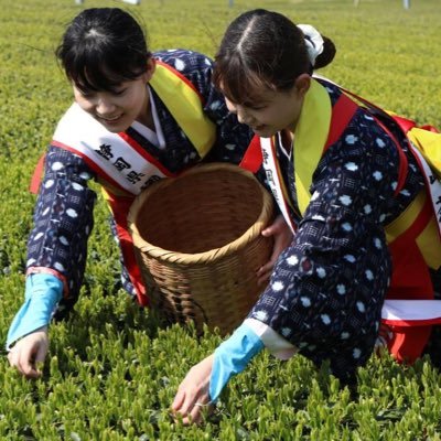 静岡県御前崎市茶業振興協議会の公式アカウントです。 茶業振興協議会が参加するイベントについていち早く情報を提供していこうと思います。