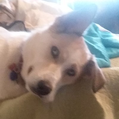 ItsDeltin's profile picture. 