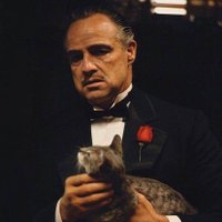 Dennis ST (@dennis_st1) 's Twitter Profile