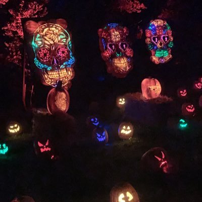 jzenonsama's profile picture. 