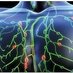 Journal of Phlebology and Lymphology VOL 13 ISS 2 (@lympholpogy) Twitter profile photo Journal of Phlebology and Lymphology VOL 13 ISS 2 (@lympholpogy) Twitter profile photo