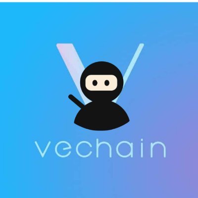 VechainNinja Profile Picture