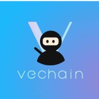 Vechain Ninja Ⓥ (@vechainninja) 's Twitter Profile Photo Vechain Ninja Ⓥ (@vechainninja) 's Twitter Profile Photo