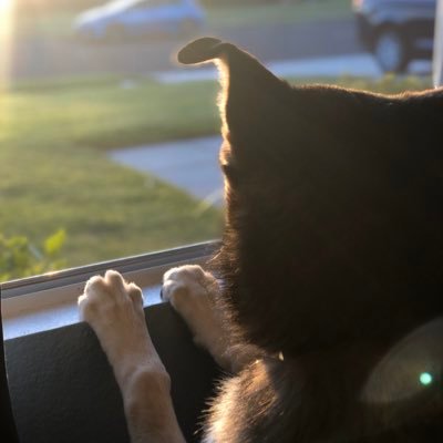 fire1heart1's profile picture. Military spouse dishing out dirty laundry for privatized military housing. Sharing our story and other’s.