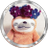 さくらのアイコン