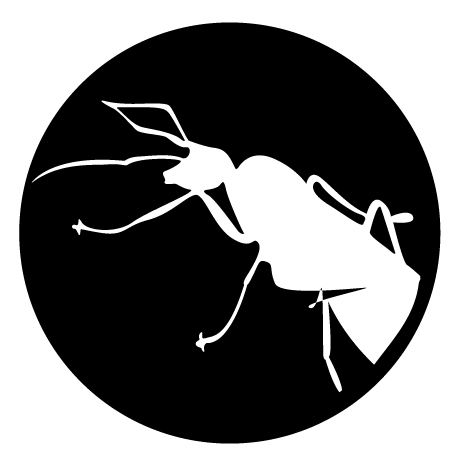 Fly fishing and photography online magazine
Revista online de pesca a mosca y fotografía
#Flyfishingmagazine - #Flymage - #flyfishing