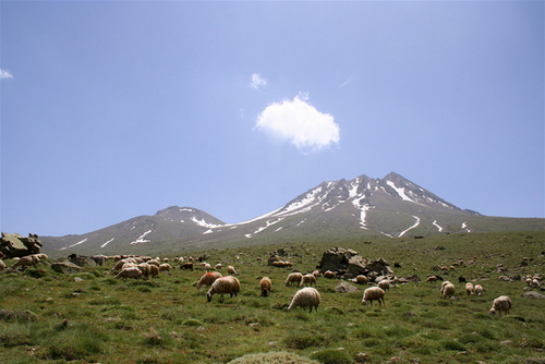 iskembeli's profile picture. 