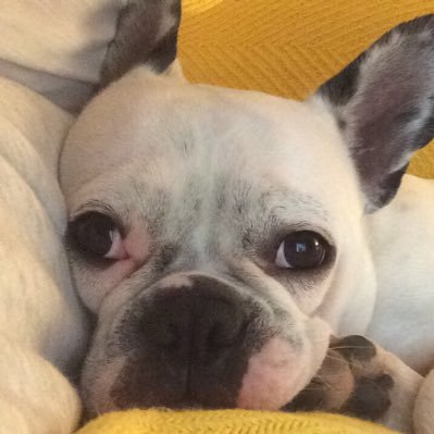 DavidConroy3's profile picture. 