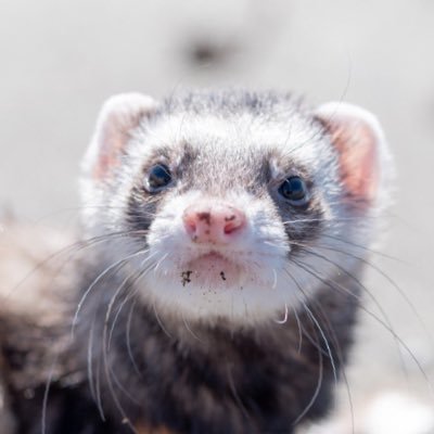 ちぃさんのプロフィール画像