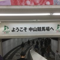 山p (@umaodes) Twitter profile photo