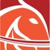 Emirates Equestrian (@eec_uae) Twitter profile photo Emirates Equestrian (@eec_uae) Twitter profile photo