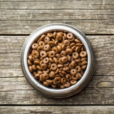 国産安全おすすめドッグフードを比較するブログ ドッグフー道 Dogfood Recipe Twitter 国産安全おすすめドッグフードを比較するブログ ドッグフー道 Dogfood Recipe Twitter