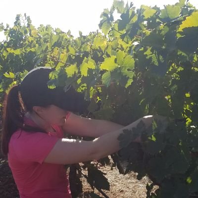 You had me at Merlot. 🍷
WSET student and wine researcher who is passionate about all things wine. 🥂👩‍🔬