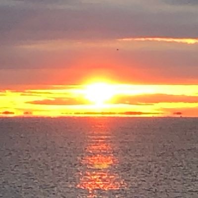 pine_1004's profile picture. ゲームプランナー/ラーメン大好き/サイゲの犬