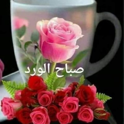 GoodMor26963's profile picture. صباح الورد علي أجمل ورد فتح