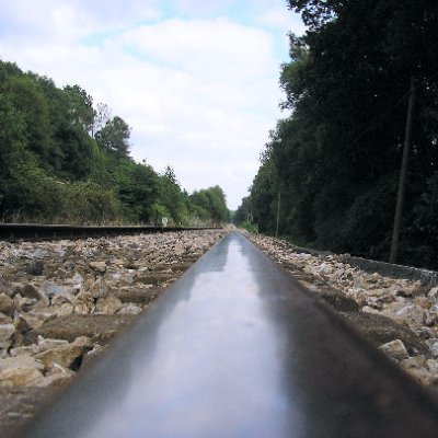 Al_Loro_Bartolo's profile picture. Lo que hay que ver!!!