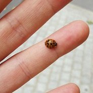 julkai94's profile picture. 