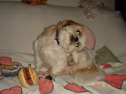 chatalovechata's profile picture. 