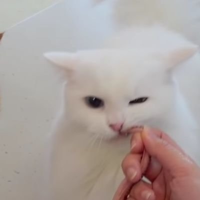 제발 메인트 확인 계이 아하😷さんのプロフィール画像