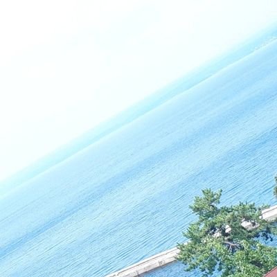 m2ai9's profile picture. 4人の子供を持つ母🍀 基本は愚痴。完全に主観なので気があわないかたはスルーお願いします🙏鍵つけたりつけなかったり…勝手にフォローします お許しを…❌副業系エロ垢お断り❌ 🆕→転職成功😭#不登校 #子宮頸がん #難病の息子 #いじめ撲滅  #ブラック校則撲滅