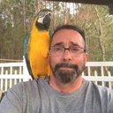 Darrell Palmer - @Darrell58361523 - Twitter