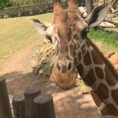 brandeeelee's profile picture. Live & Learn 🤟