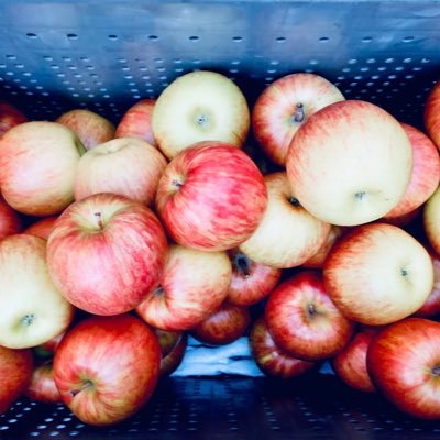 cheri190606's profile picture. スタボ大好き🫶 @light_starboy 🧡 2025/01/15 ﾌｫﾛﾊﾞ