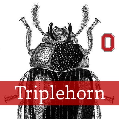 C.A. Triplehorn Insect Collection at The Ohio State University. Support us w/ a tax deductible gift: https://t.co/AOoeFxMzGx